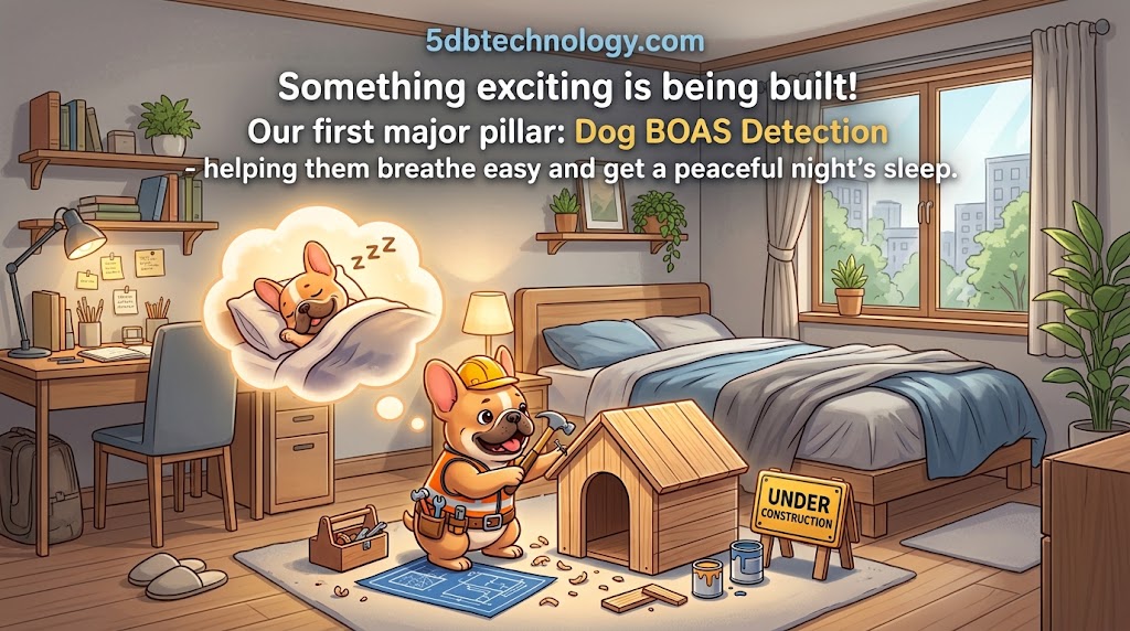 5db Technology - Under Construction